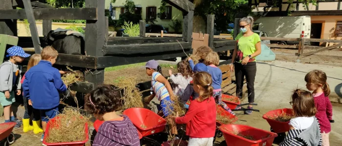 Accueil de loisirs sans hébergement, groupe d'enfants en train de donner du foin à une vache