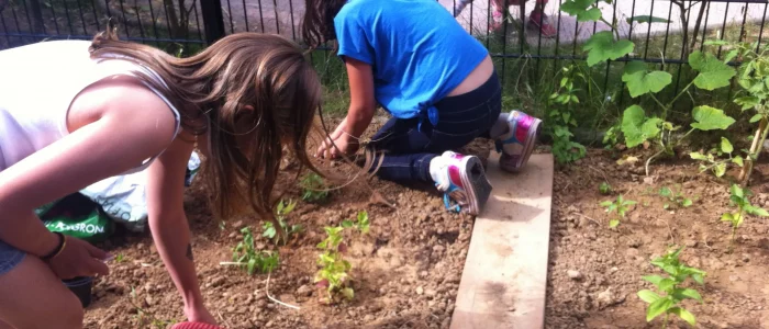Accueil de loisirs sans hébergement, deux enfants en train de planter des plantes