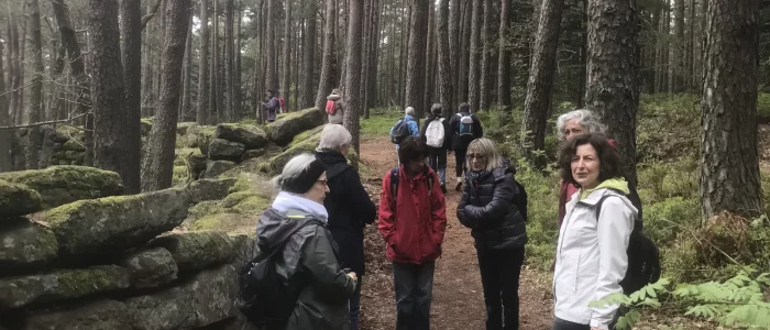 Marche nordique, 11 personnes marchant de dos dans la forêt