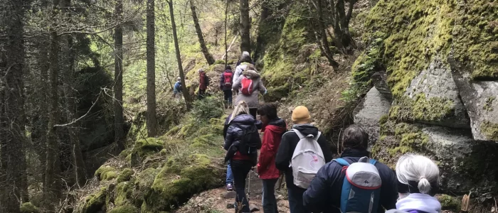 Marche nordique, dix personne de dos marchant dans la forêt