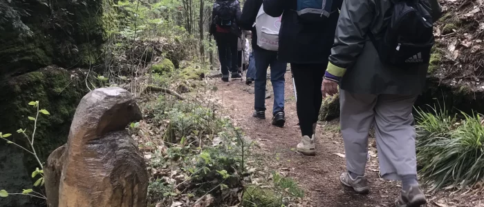 Marche nordique, quatre personne de dos marchant dans la forêt, un aigle taillé dans une souche en premier plan